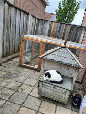 Zimmer bei Wicher Nijkampstraat In Enschede