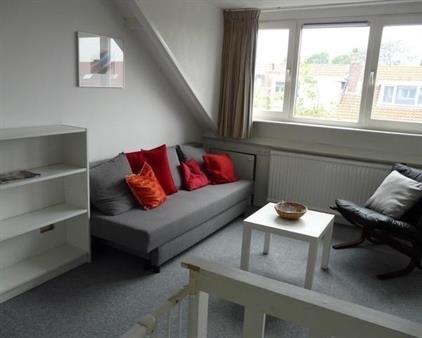 Room for rent 850 euro Petrarcalaan, Utrecht