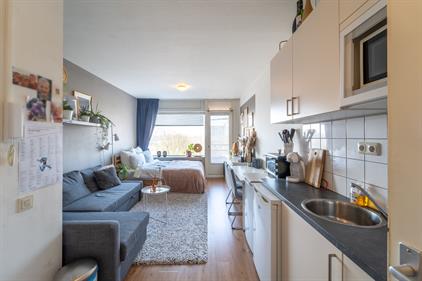 Studio te huur 803 euro Populierenlaan, Groningen