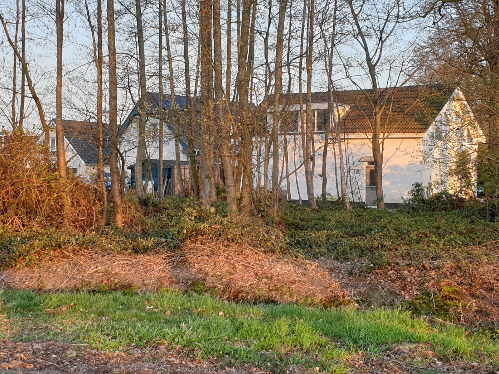 Appartement aan Kleine Heistraat, Wernhout 7