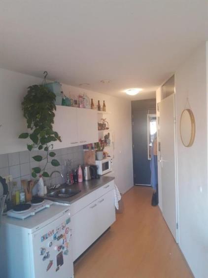 Studio for rent 360 euro Stamkartplein, Den Haag