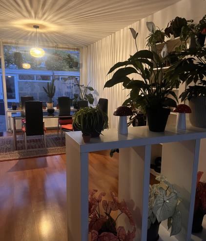 Room for rent 800 euro Kardinaal de Jongstraat, Amstelveen
