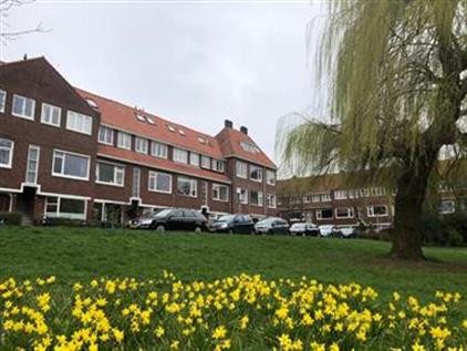 Studio te huur 900 euro Van Brakelplein, Groningen