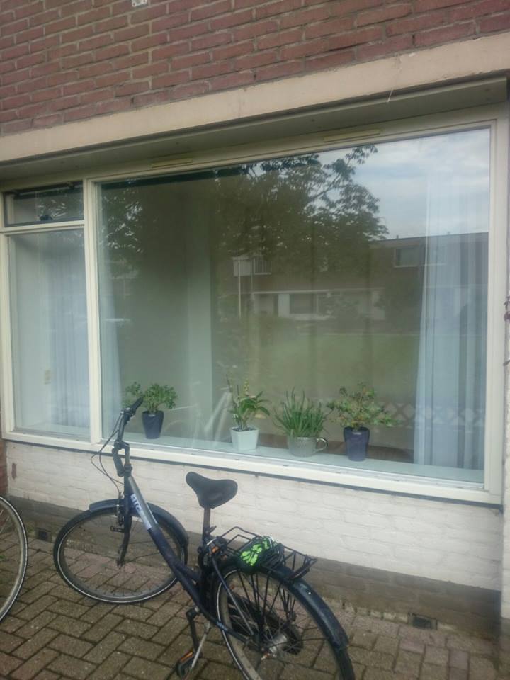 Kamer te huur in de Hoeckelumstraat in Nijmegen