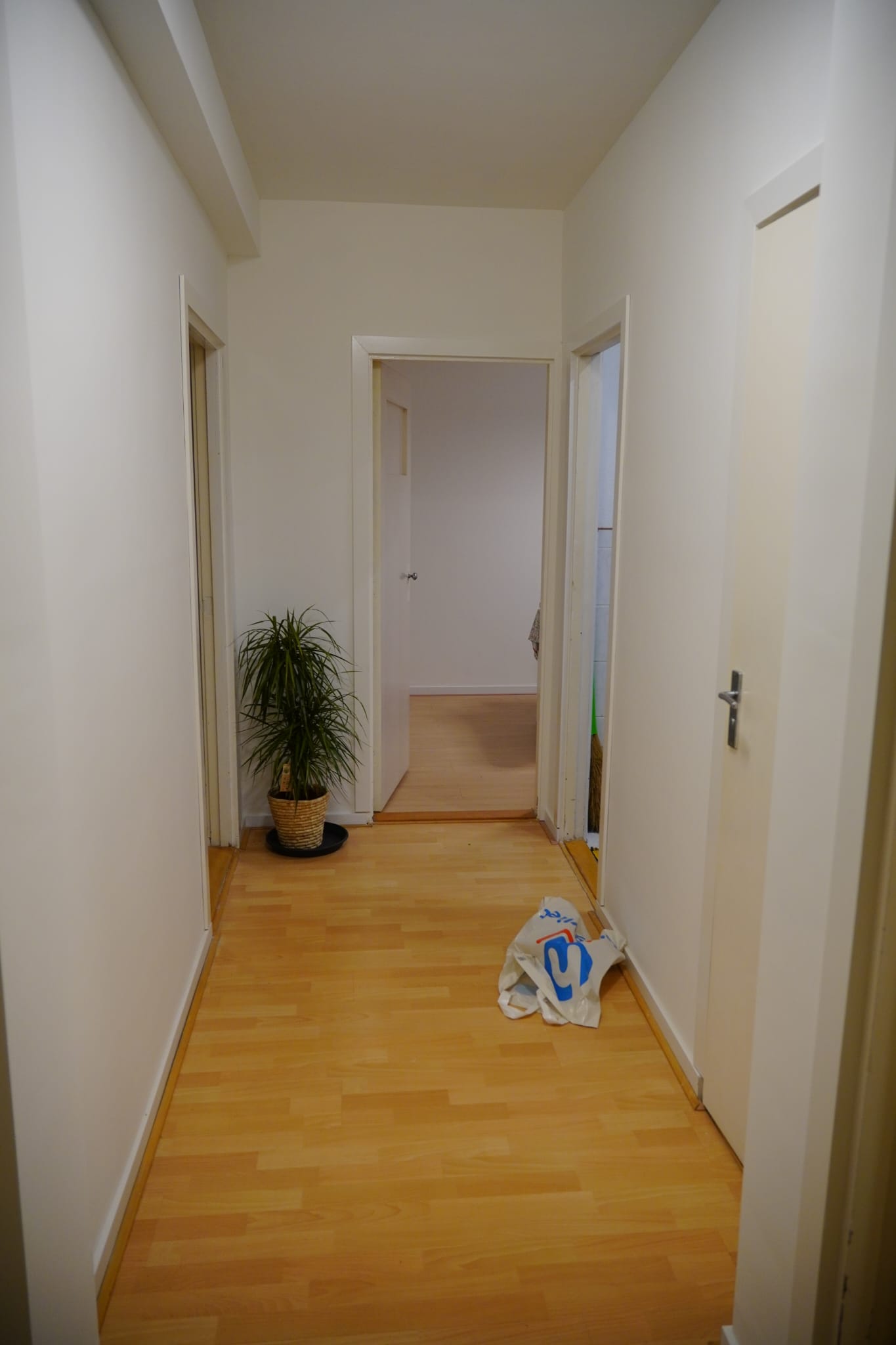 Appartement te huur in Leiden – Brahmslaan – foto 3