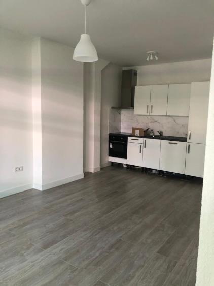 Appartement te huur 1600 euro Mijnsherenlaan, Rotterdam