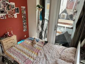 Kamer te huur 500 euro Vismarkt, Groningen