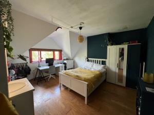 Room for rent 490 euro Julianalaan, Delft