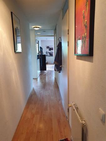 Zimmer bei Celebesstraat In Amsterdam