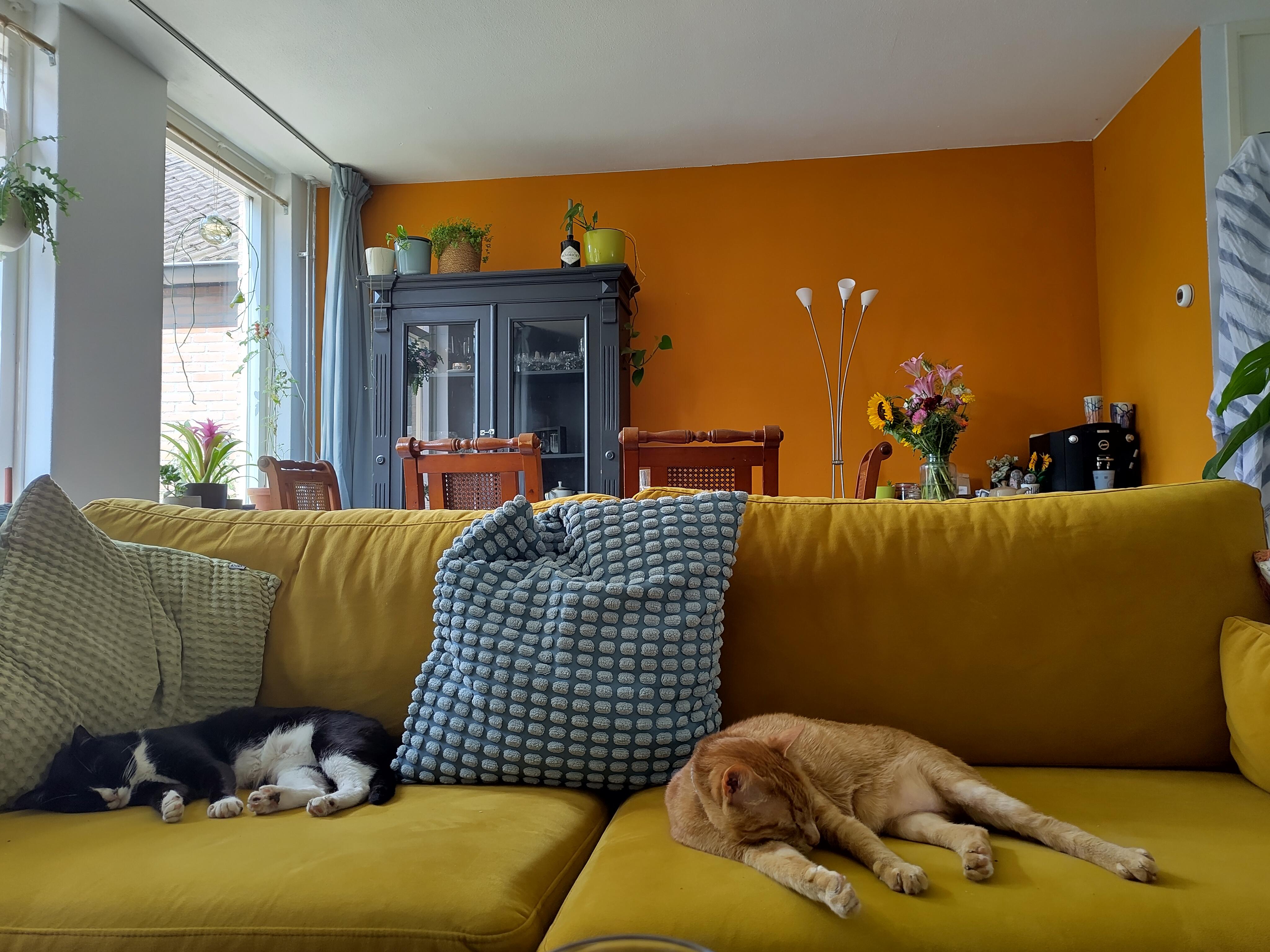 Kamer te huur in Eindhoven – Kruisstraat – foto 4