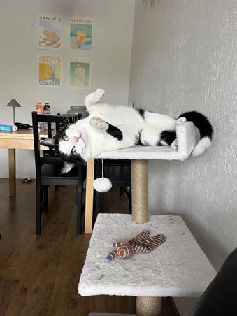 Zimmer bei Bremstraat In Groningen