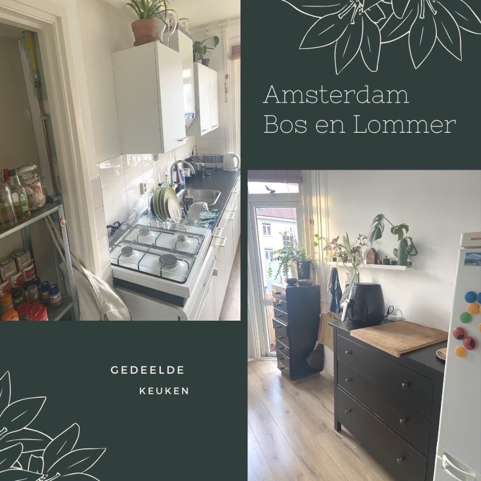 Kamer te huur in Amsterdam – Erik de Roodestraat – foto 4