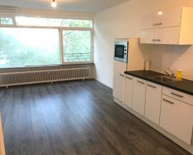 Studio for rent 980 euro Het Kleine Loo, Den Haag