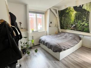 Room for rent 615 euro Papestraat, Den Haag