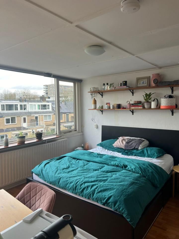 Breda Room for rent