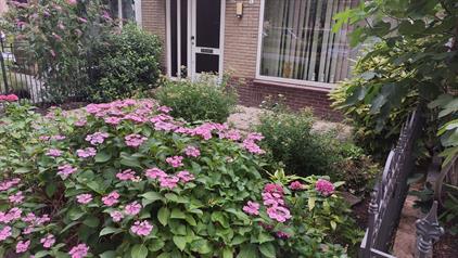 Room for rent 950 euro Laan 1954, De Meern