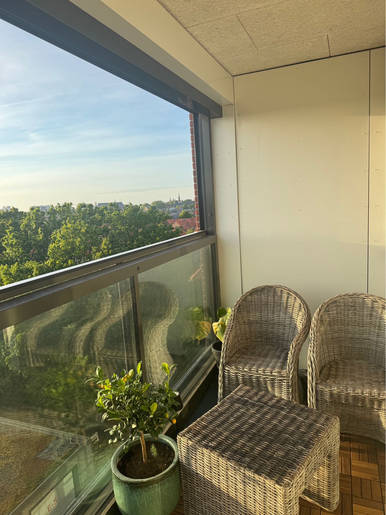 Kamer te huur in Leiden – Ananasweg – foto 3