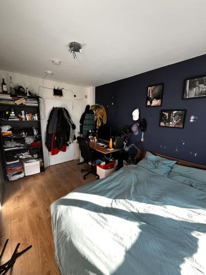 Room for rent 499 euro Oudraadtweg, Delft