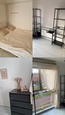 Room for rent 765 euro Laan van Magisch Realisme, Rotterdam