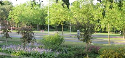 Studio for rent 500 euro August Sniederslaan, Eindhoven