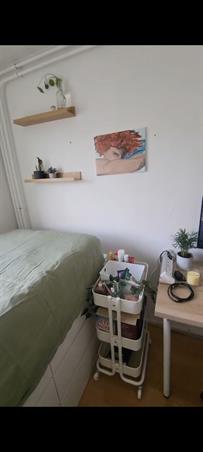 Zimmer bei Koppestokstraat In Utrecht