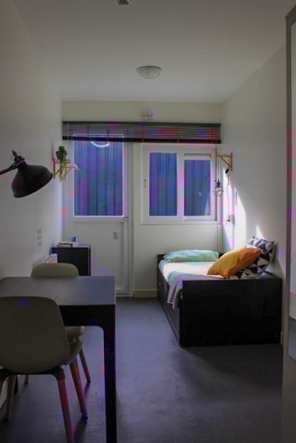 Room for rent 570 euro Peizerweg, Groningen