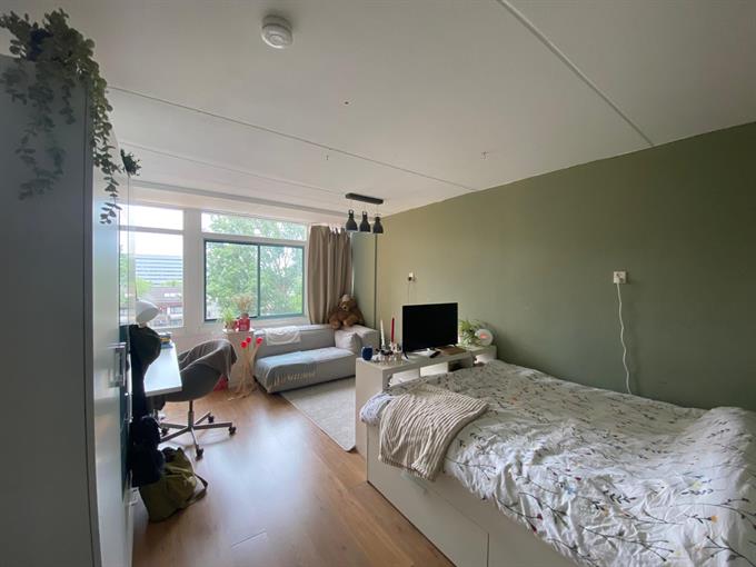 Zimmer bei Van Hasseltlaan In Delft