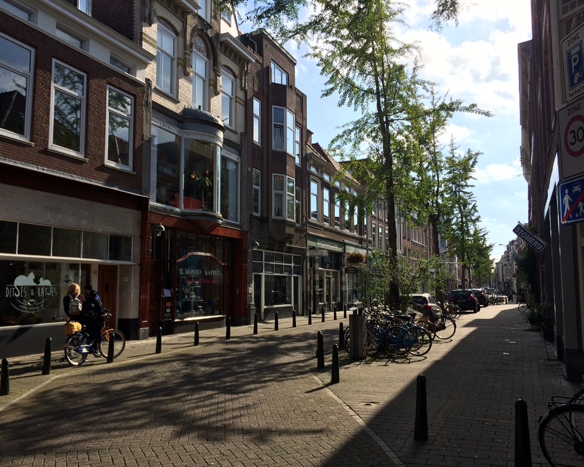 Kamer te huur in de Piet Heinstraat in Den Haag