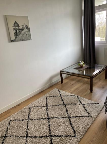 Room for rent 1050 euro Hofgeest, Amsterdam