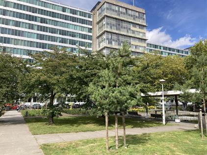 Studio te huur 1150 euro Bos en Lommerplantsoen, Amsterdam