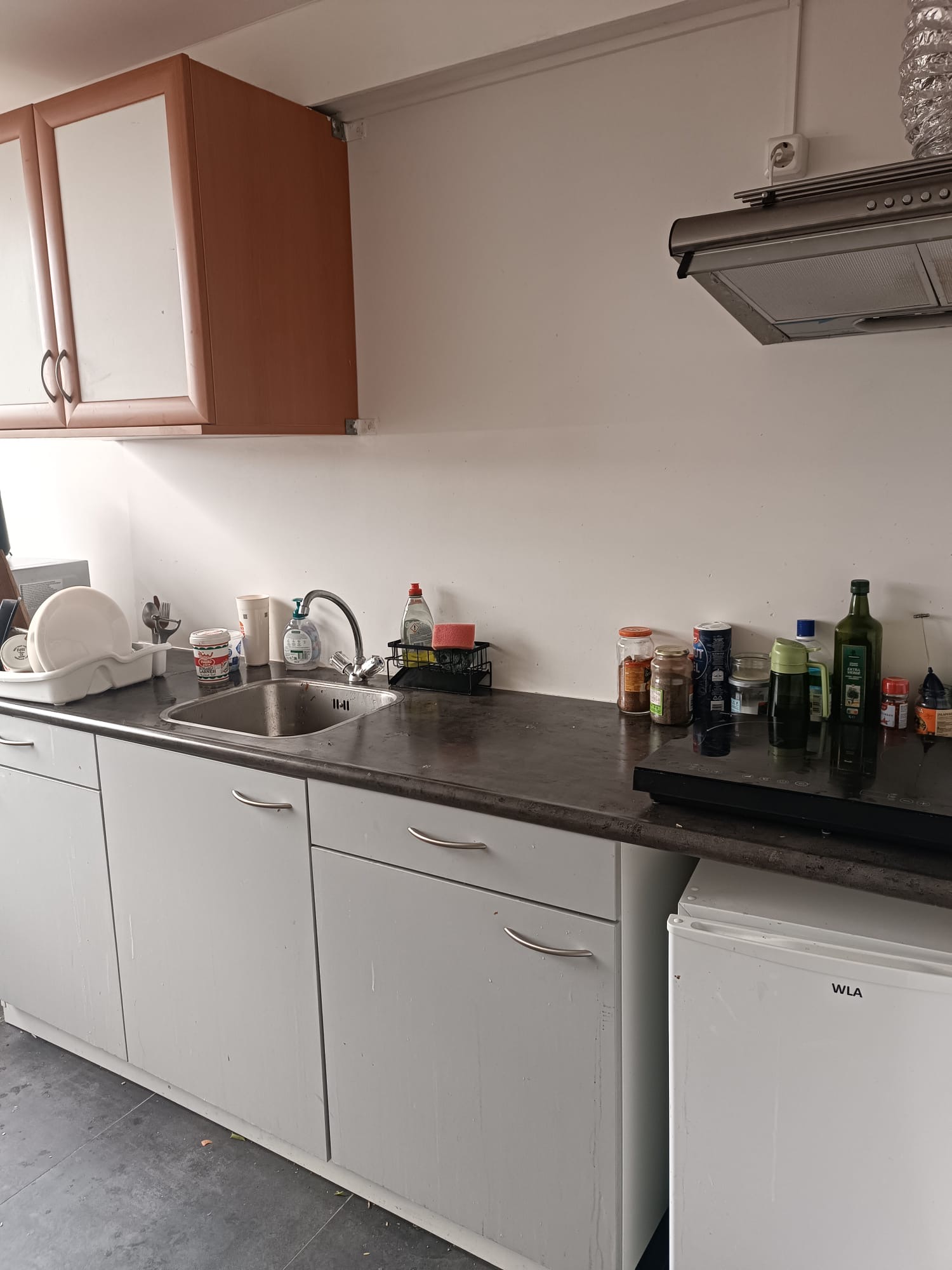 apartments for rent on Bolerostraat