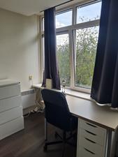 Room for rent 600 euro Lange Wal, Arnhem