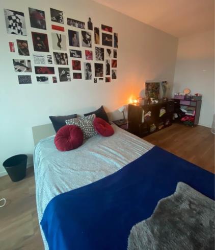 Room for rent 1250 euro Haarlemmerweg, Amsterdam