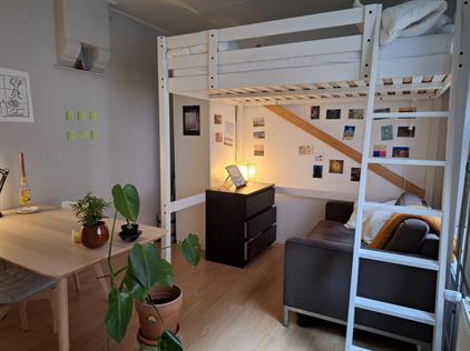 Room for rent 490 euro Jozef Israelsstraat, Groningen