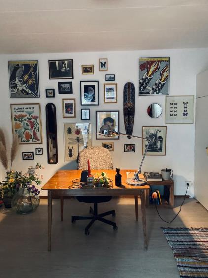 Kamer te huur 900 euro Hooikade, Delft