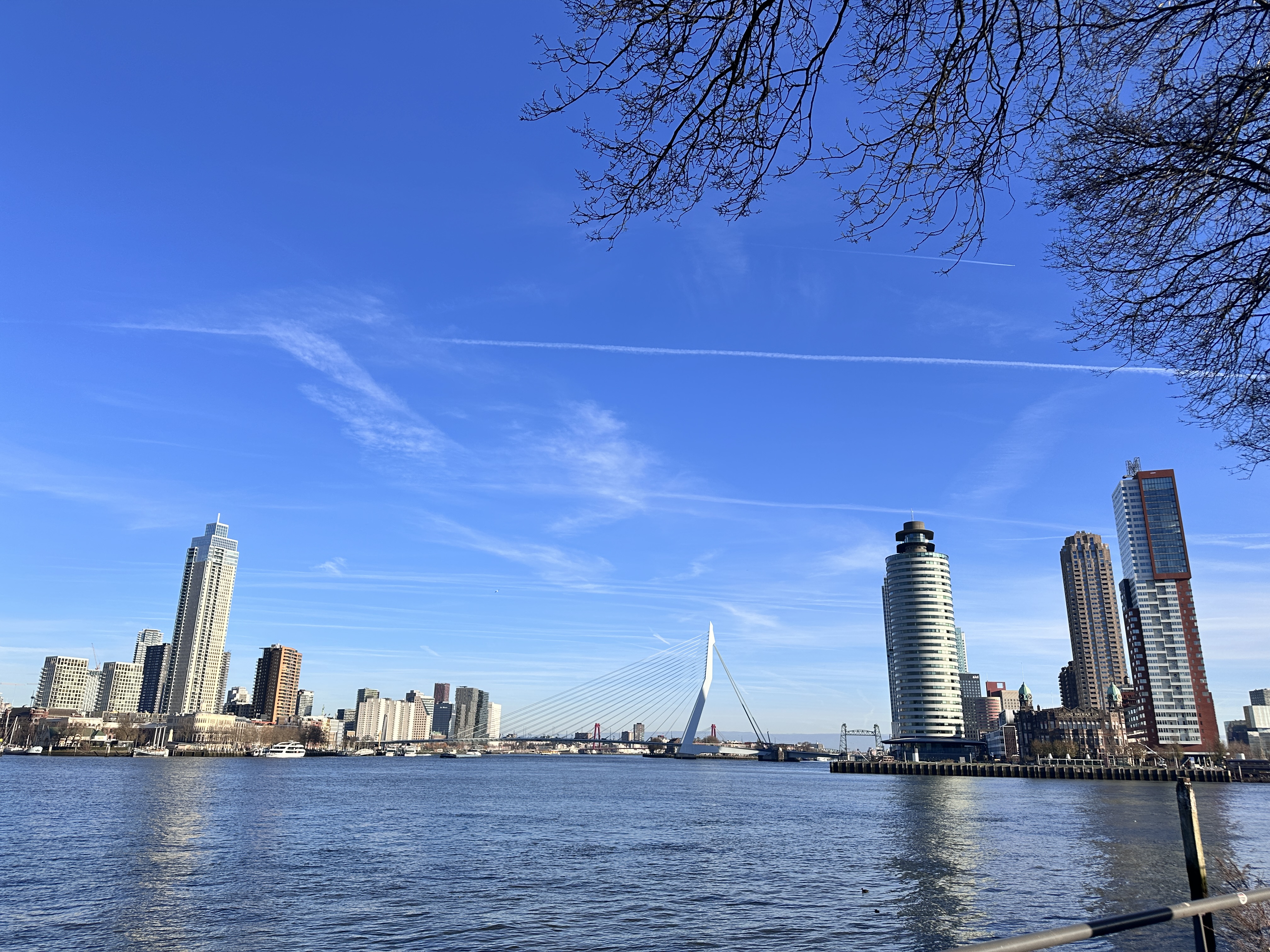 Kamer aan Maashaven N.z., Rotterdam 5