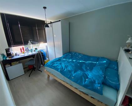 Room for rent 650 euro Van den Berghlaan, Hoofddorp