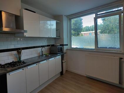 Ganzenveldstraat