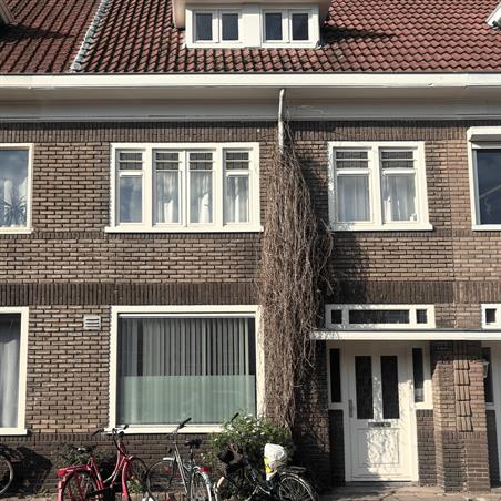 Zimmer bei Schootsestraat In Eindhoven