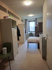 Room for rent 900 euro Zernikepark, Groningen