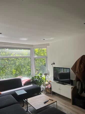 Kamer in Rotterdam, Mathenesserweg op Kamernet.nl: TIJDELIJKE ONDERHUUR: 2 gemeubileerde kamers