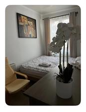Room for rent 900 euro Damasstraat, Den Haag
