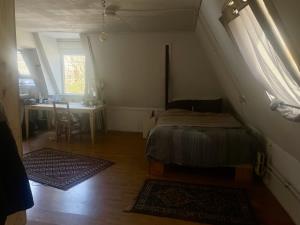 Kamer te huur 750 euro Eeldersingel, Groningen