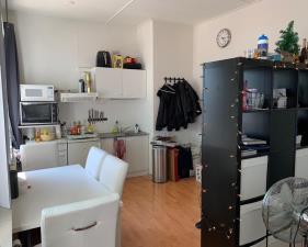 Room for rent 525 euro Speelheuvelweg, Eindhoven