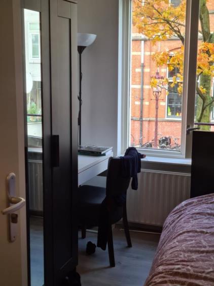 Room for rent 680 euro Pieter Nieuwlandstraat, Amsterdam