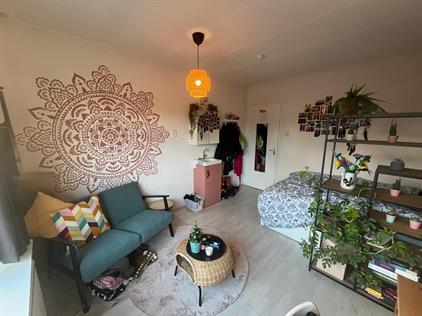 Room for rent 300 euro Lipperkerkstraat, Enschede