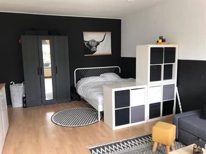 Kamer te huur 675 euro Schaepmanlaan, Groningen