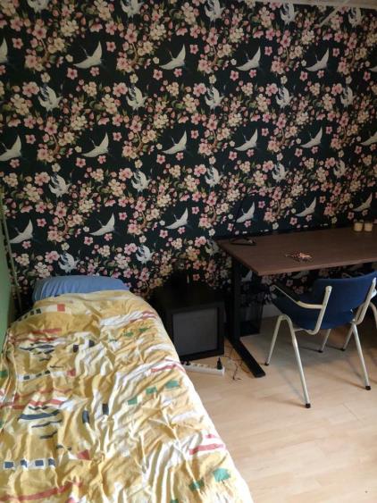 Room for rent 400 euro Wethouder Elhorststraat, Enschede