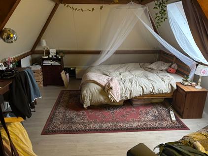 Room for rent 300 euro Zuiderkade, Ede