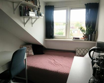 Room for rent 430 euro Van Brakellaan, Hilversum